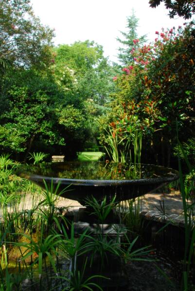 dsc-0057-op-401x600_orig